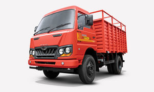 Loadking Optimo HSD Cargo